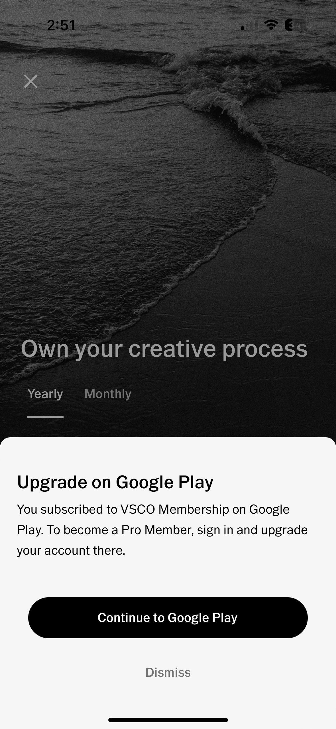 How To Upgrade To A Pro Membership From Android – The VSCO Help Center