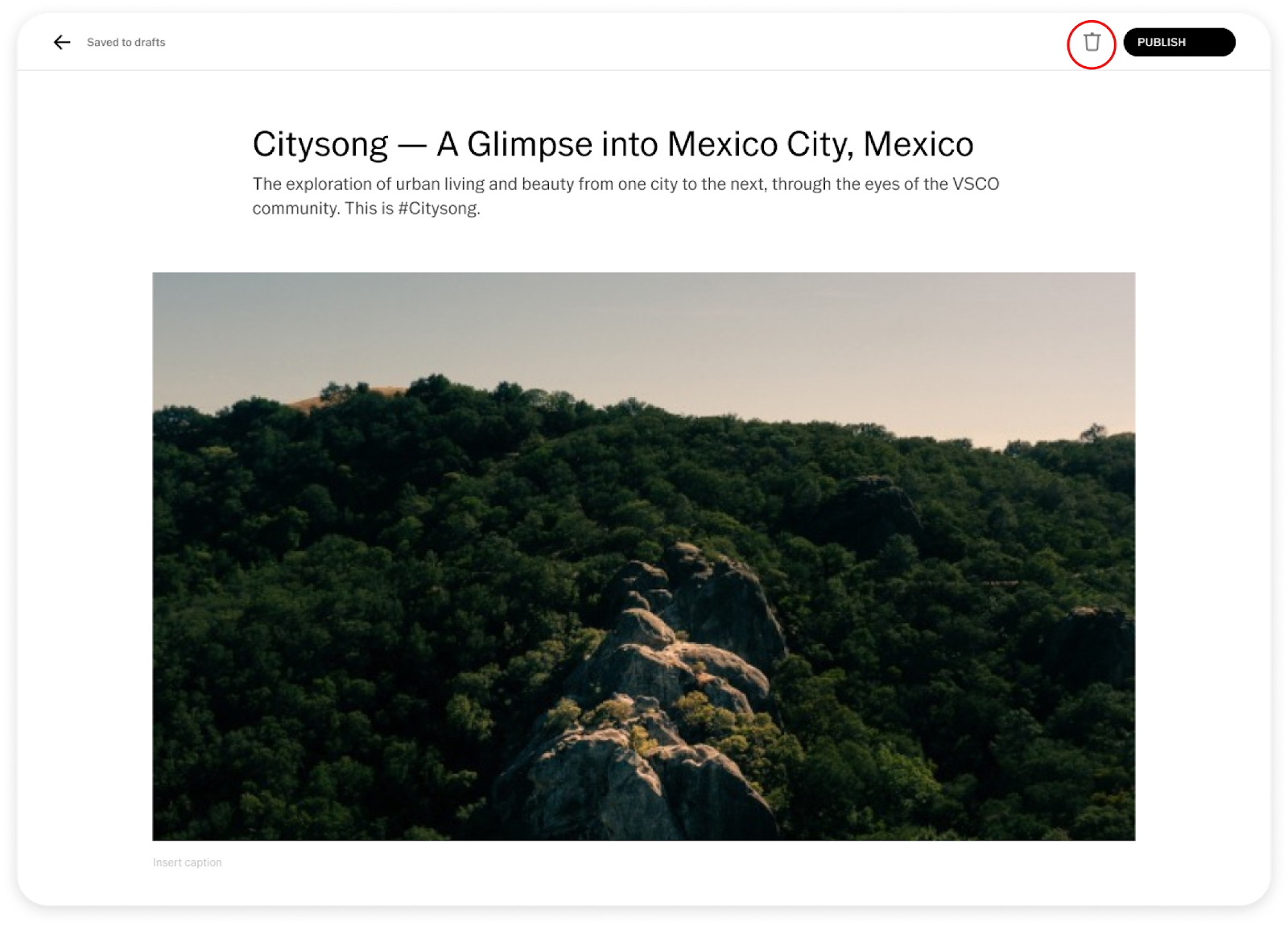 How to Use VSCO Blogs – The VSCO Help Center