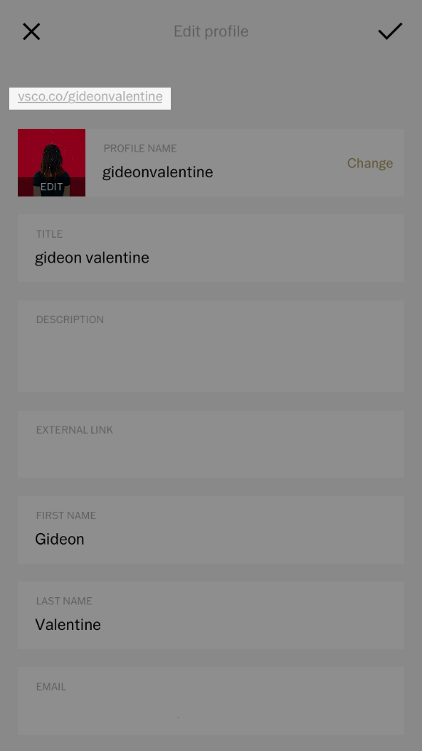 How To Share My Vsco Profile On My Instagram Website Or Blog