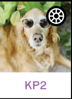 Screen_Shot_2019-07-16_at_10.26.41_AM.png
