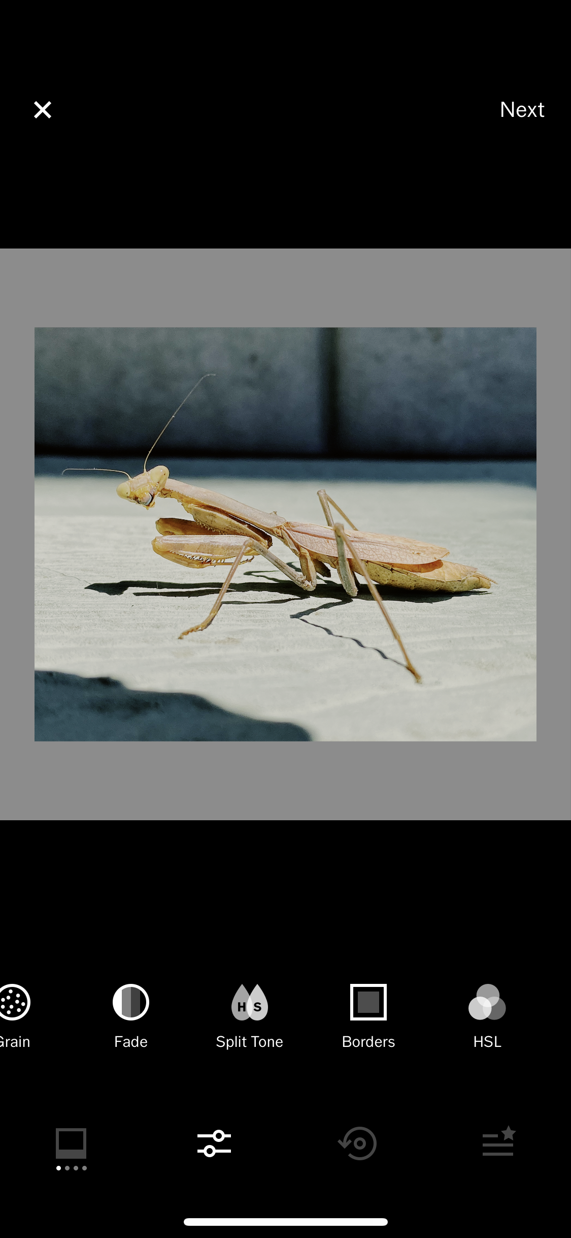 IMG_0140.PNG