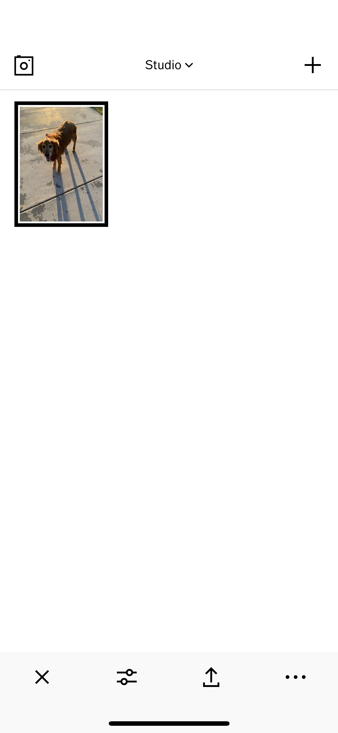 IMG_7265.PNG