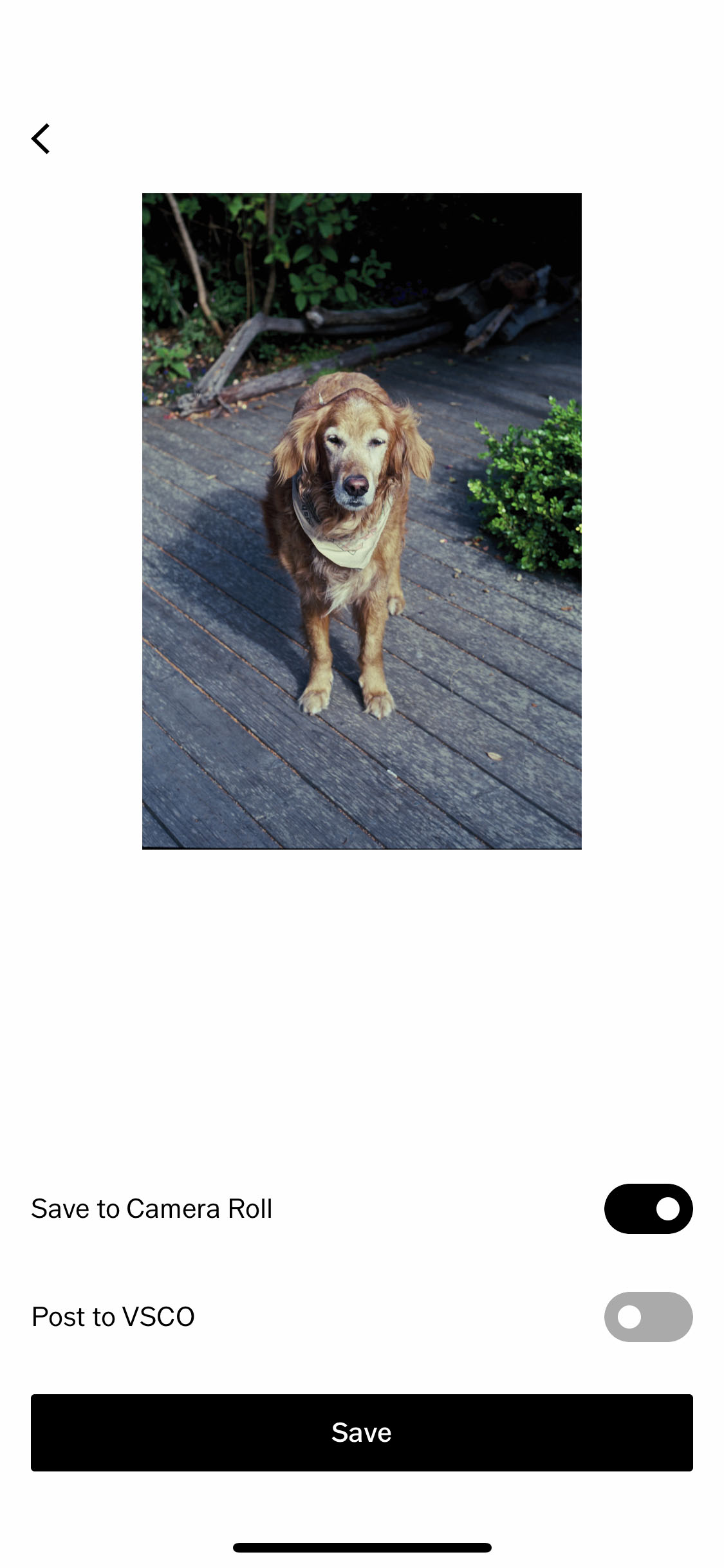 Storephotos1.jpg