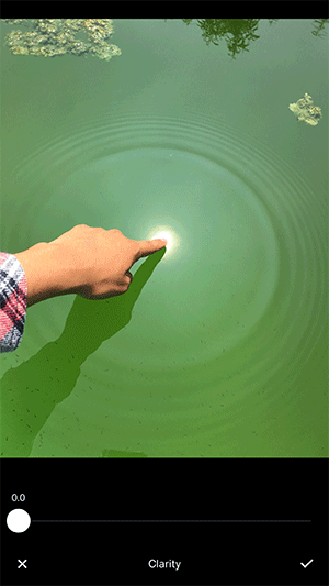 clarity-detail-small.gif