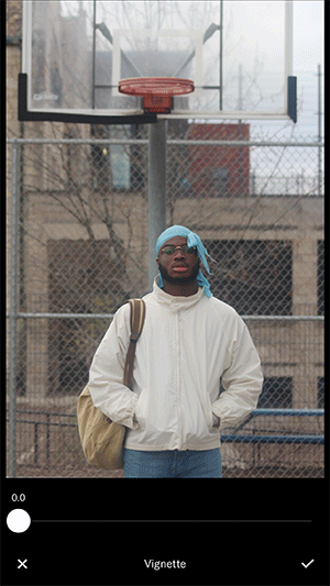 vignette-6.gif