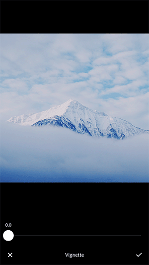 vignette-7.gif