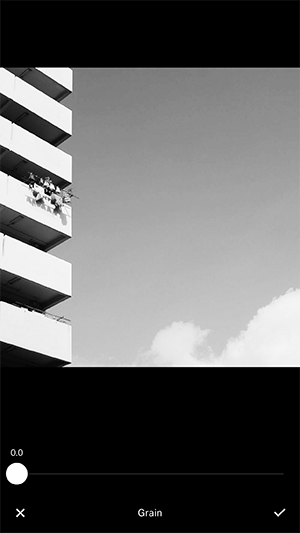 grain-7.gif