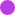purple-icon.jpg