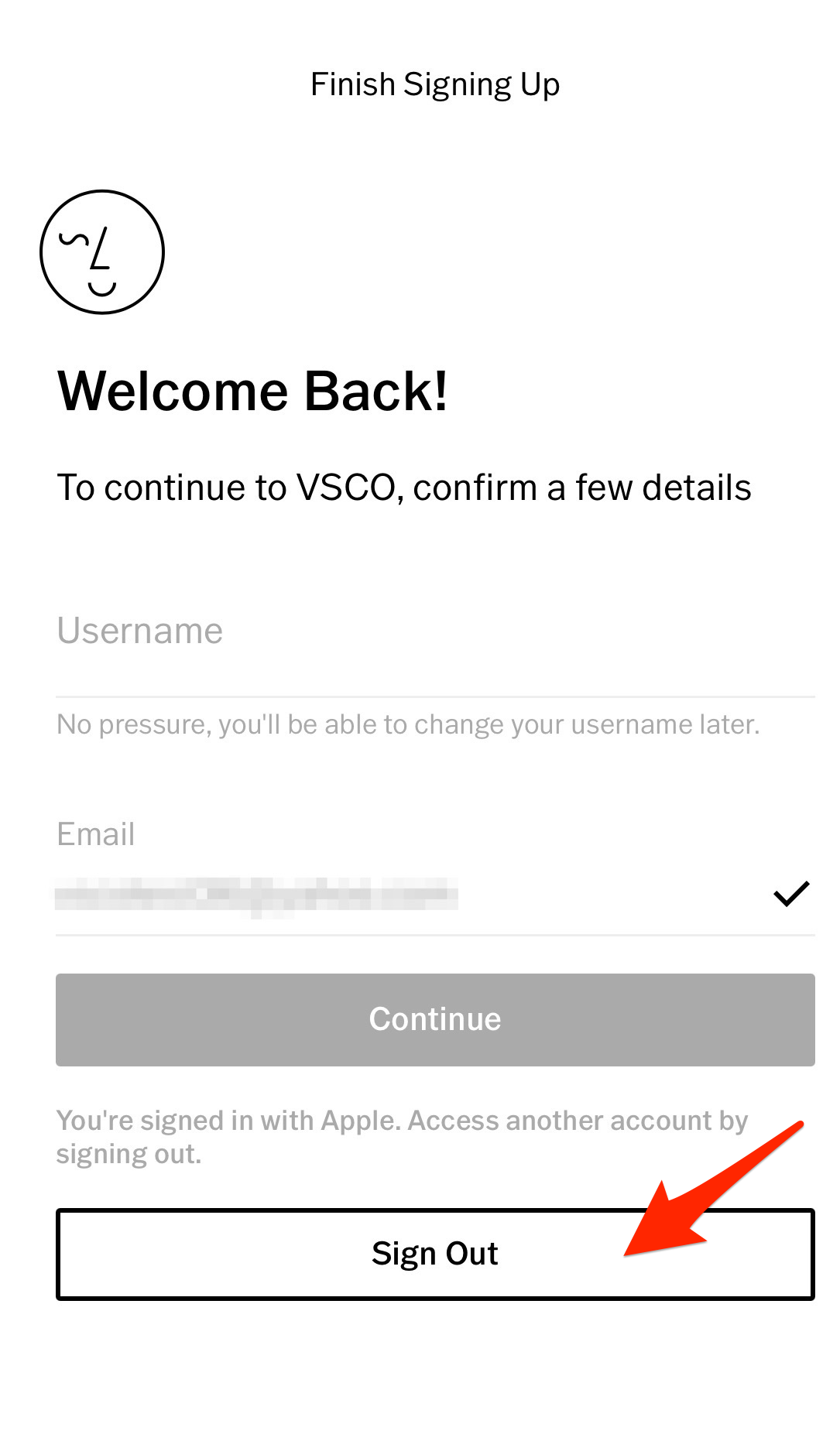 Vsco account store