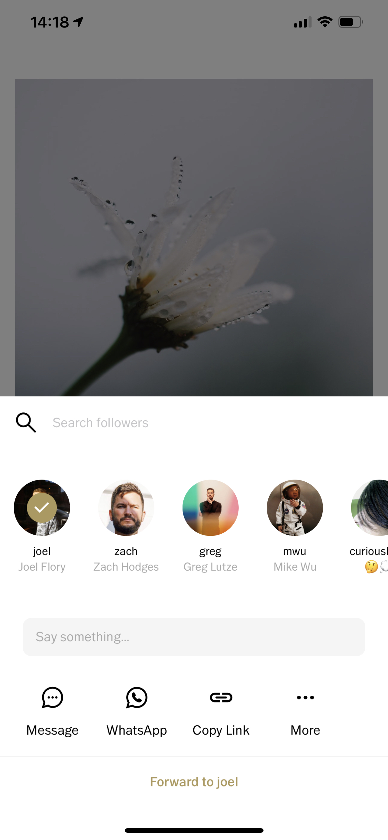 How to share images from another user's VSCO Profile The VSCO Help Center