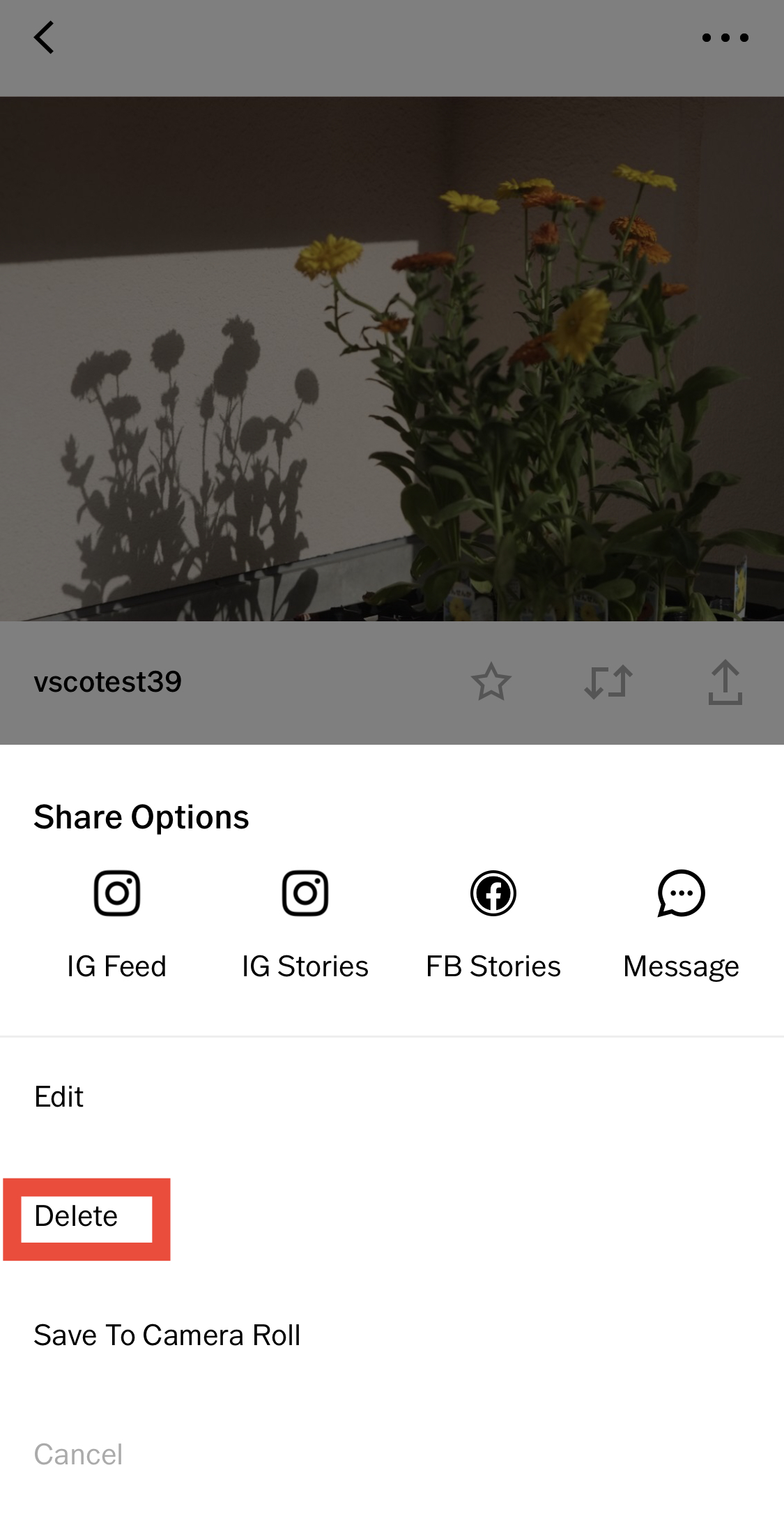 How to edit your VSCO Profile – The VSCO Help Center