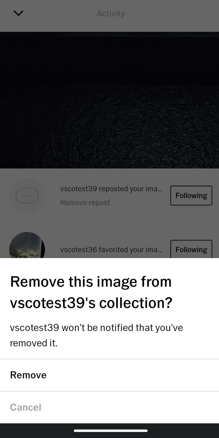 delete vsco image r resizer 4.0