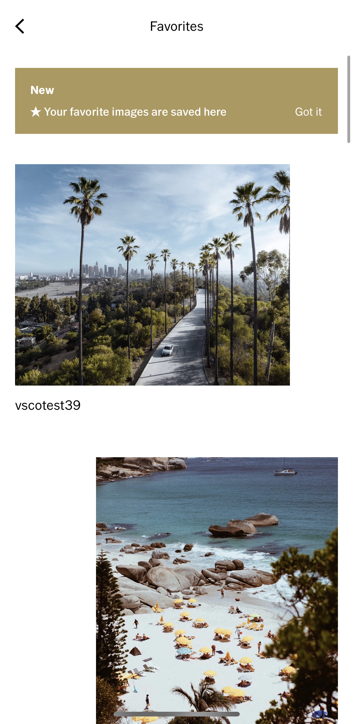 Favorites_Section.jpg